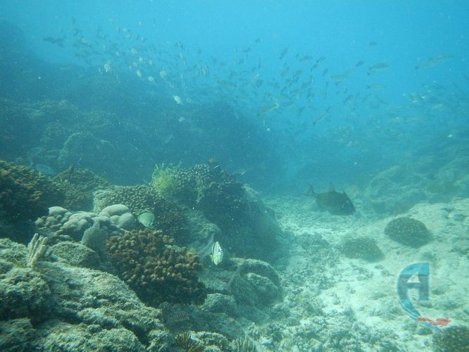 los canales submarinos